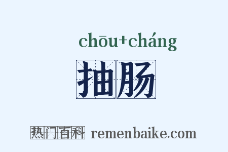 抽肠是什么意思的图片